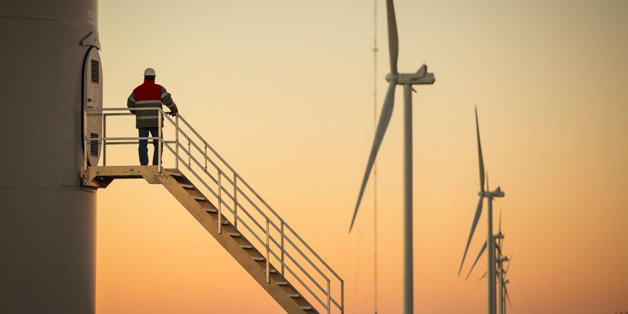 Pan American Energy puso en marcha su primer parque eólico en la Argentina