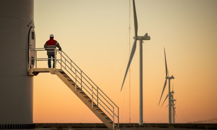 Pan American Energy puso en marcha su primer parque eólico en la Argentina