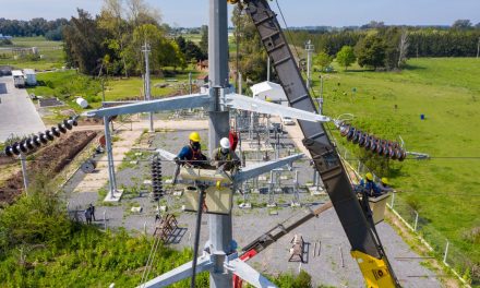 EDELAP invirtió este año $1000 millones en obras para mejoramiento del tendido eléctrico