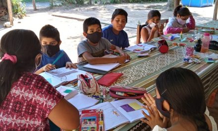 La Fundación Vamos a Andar, junto al sector tabacalero contribuye a la erradicación del trabajo infantil