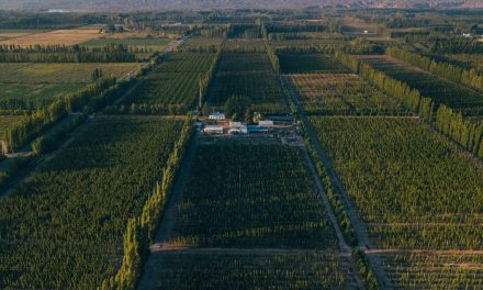 Cervecería Quilmes invierte más de u$s3,5 millones en la producción de lúpulo en Río Negro