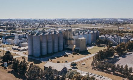 Cervecería y Maltería Quilmes aumentó 50% sus exportaciones en 2022