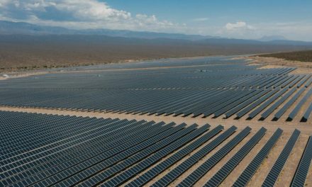 YPF Luz inauguró en San Juan su primer parque solar