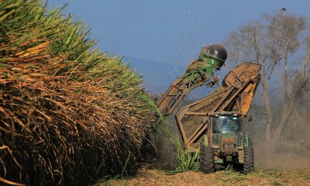 Ledesma comenzó una nueva zafra con una inversión de u$s31 millones