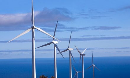 Ternium ampliará la capacidad de su parque eólico en Olavarría 