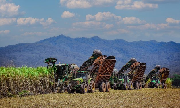 Ledesma inicia la zafra con buenas  perspectivas y espera llegar a las 3.350.000 toneladas