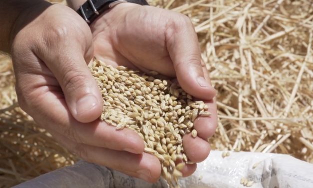 Cervecería Quilmes batió un récord de exportaciones en 2024: u$s458 millones