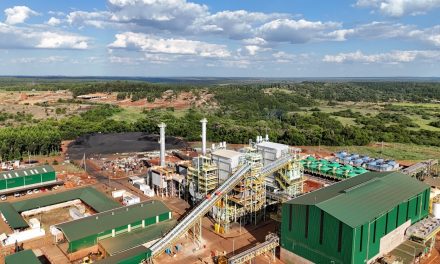 Con una inversión de u$s200 millones, Insud inaugura su segunda planta de energía renovable