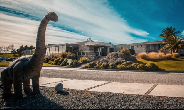 Bodega Familia Schroeder: vacaciones de invierno con experiencias exclusivas
