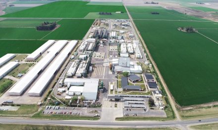 Acuerdo estratégico entre Bayer y MSU Green Energy para abastecer con energía solar una planta procesadora de semillas