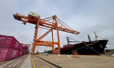 TecPlata lanzó una nueva conexión a Ushuaia en conjunto con Patagonia Shipping Lines