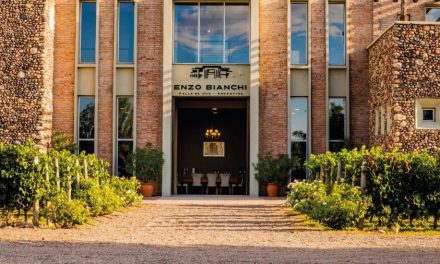Bodegas Bianchi reinventa sus clásicos y  suma más innovaciones