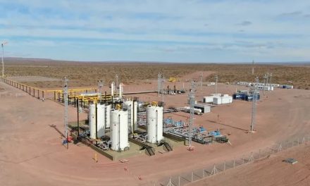 Pluspetrol presentó un RIGI con una inversión de u$s12.000 millones para desarrollo en Vaca Muerta